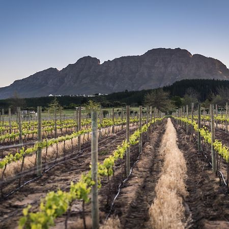 Lanzerac Hotel & Spa Stellenbosch Kültér fotó
