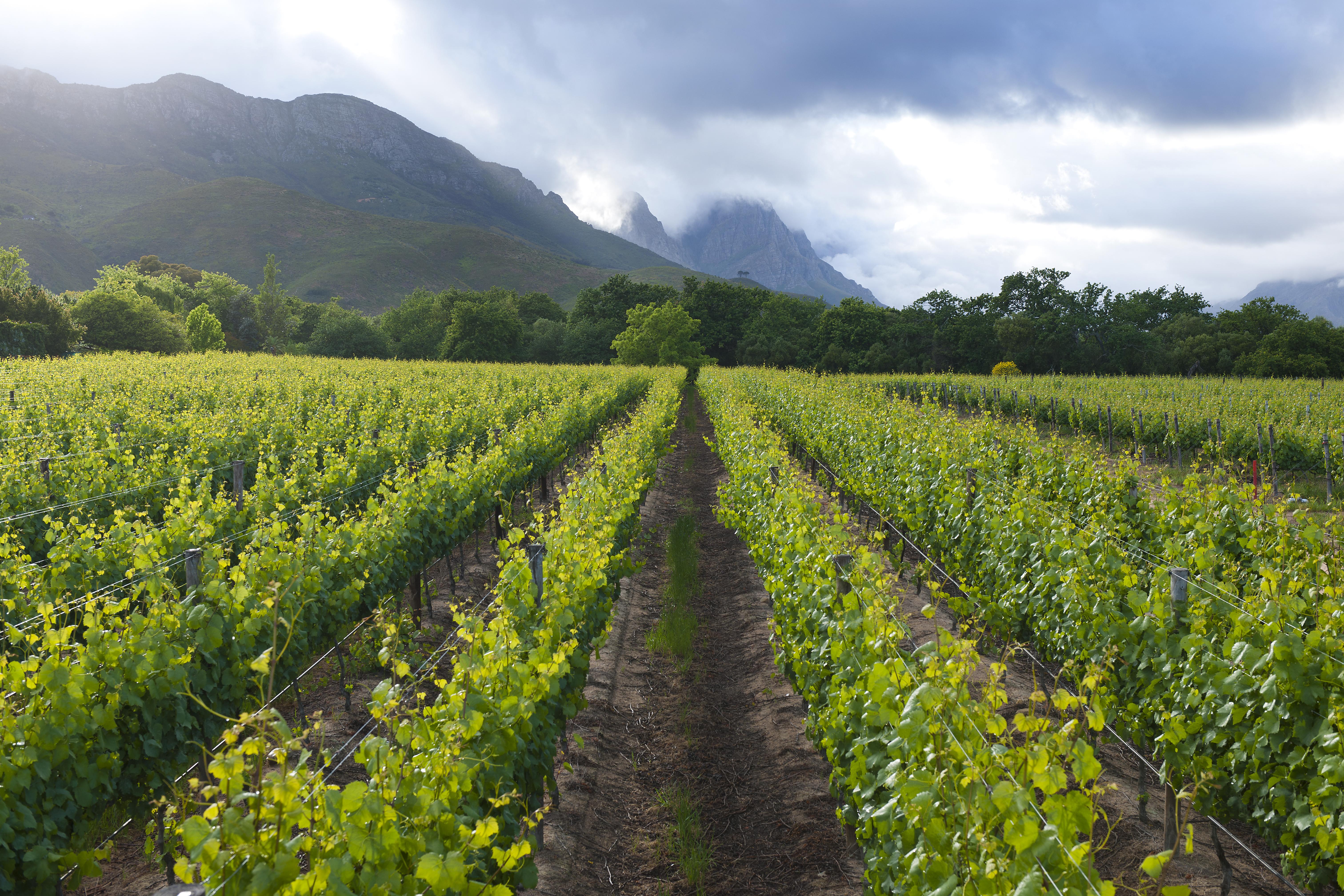 Lanzerac Hotel & Spa Stellenbosch Kültér fotó