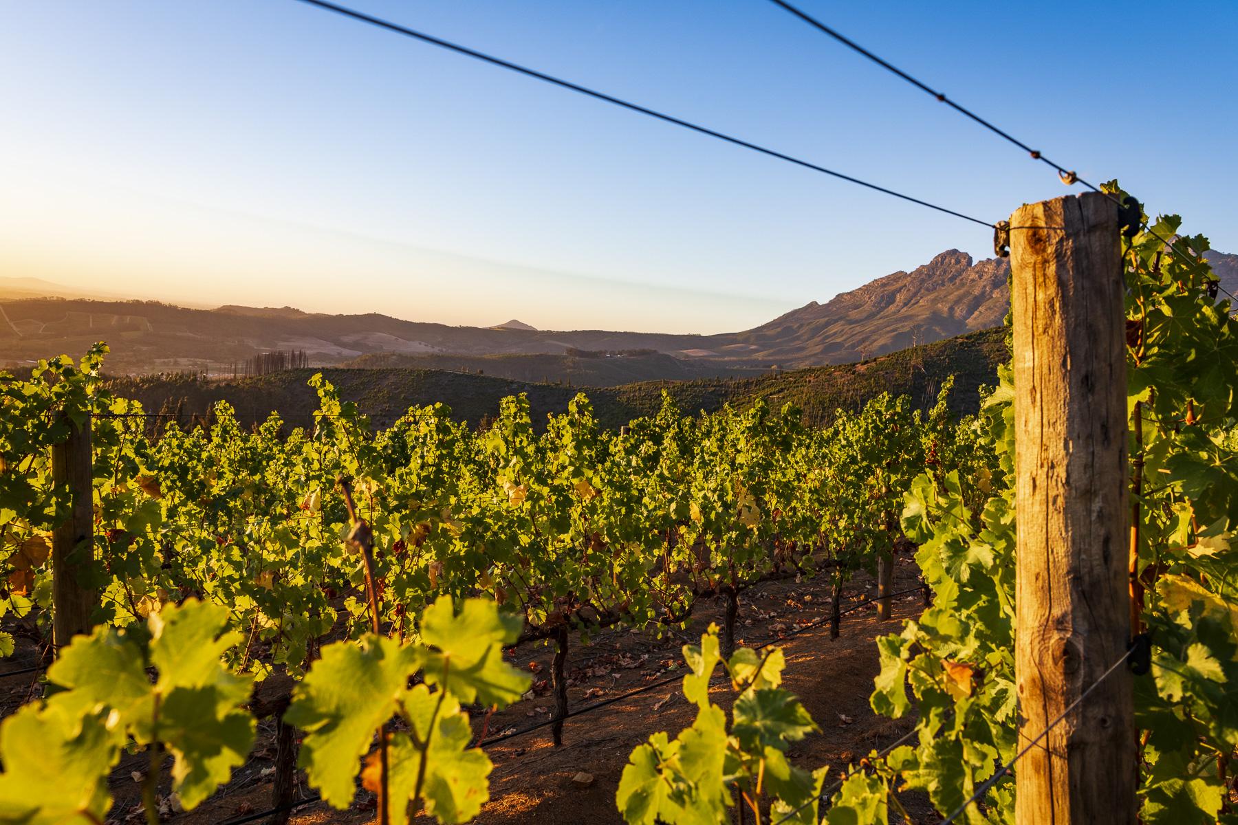 Lanzerac Hotel & Spa Stellenbosch Kültér fotó