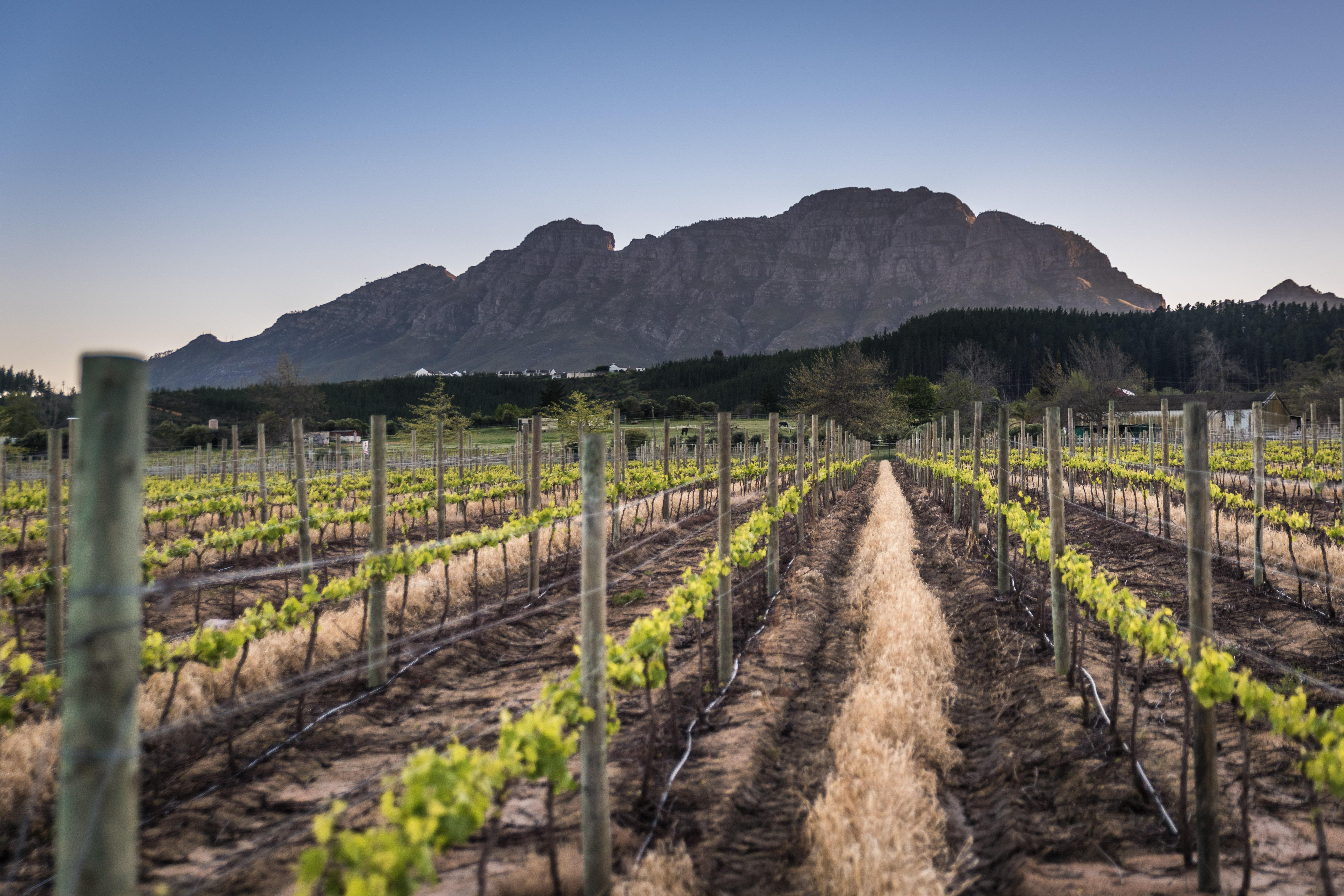 Lanzerac Hotel & Spa Stellenbosch Kültér fotó