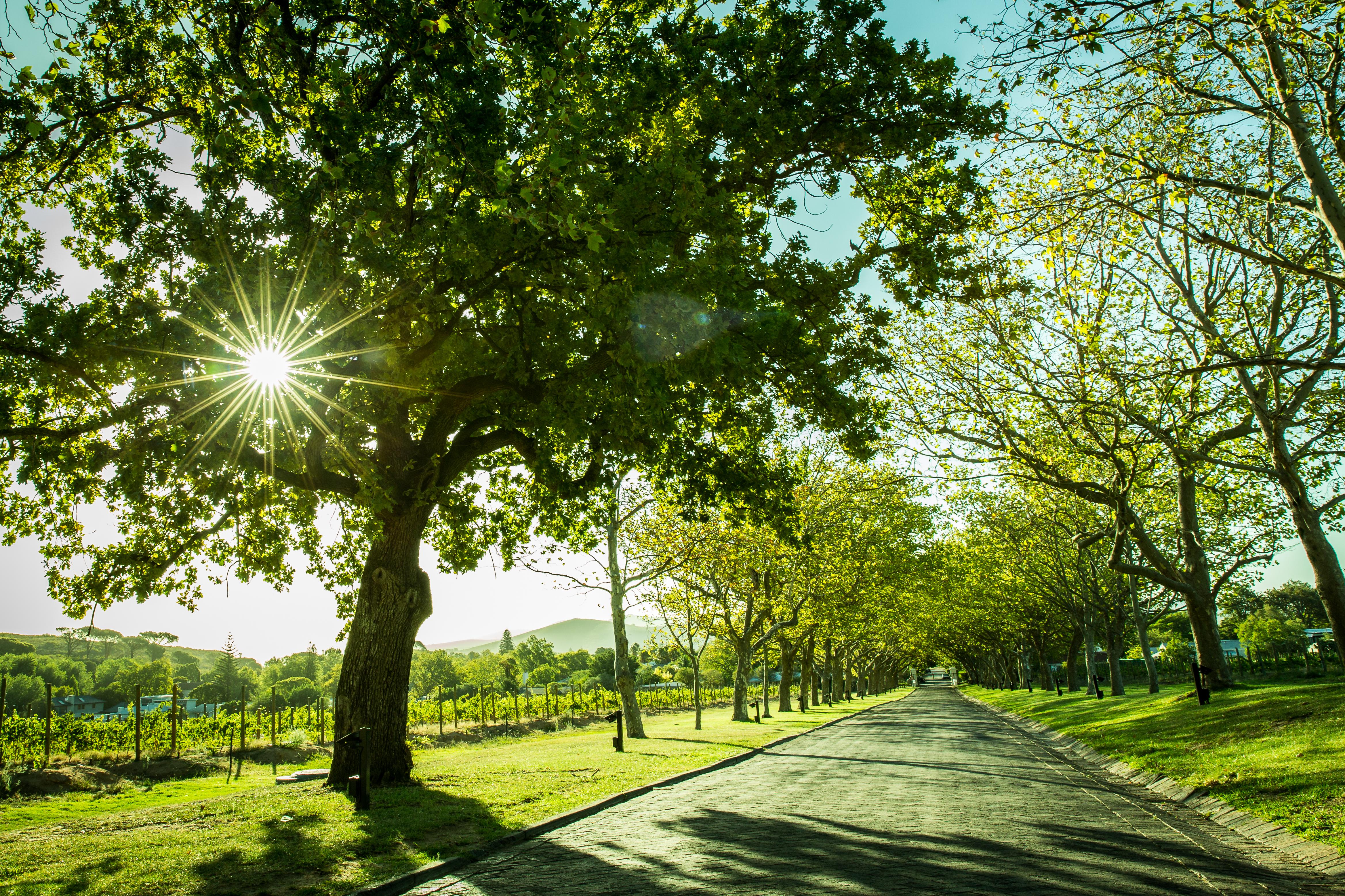 Lanzerac Hotel & Spa Stellenbosch Kültér fotó