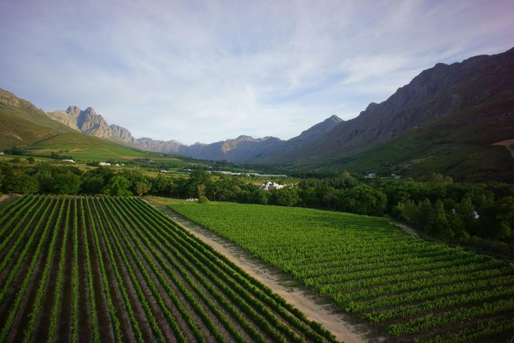 Lanzerac Hotel & Spa Stellenbosch Kültér fotó